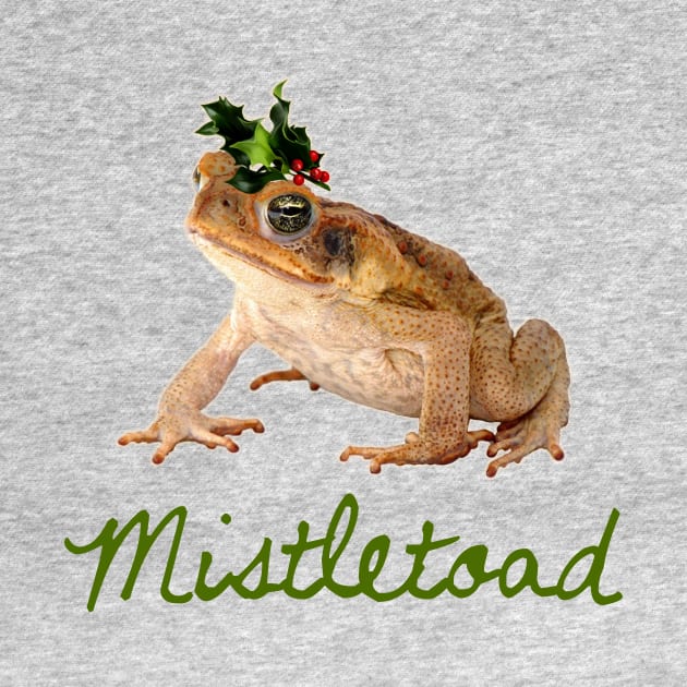 Mistletoad by heroics